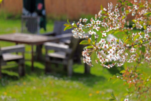 Garten Must-haves – 10 unverzichtbare Planen und Netze zum Schutz Ihrer Outdoor-Oase