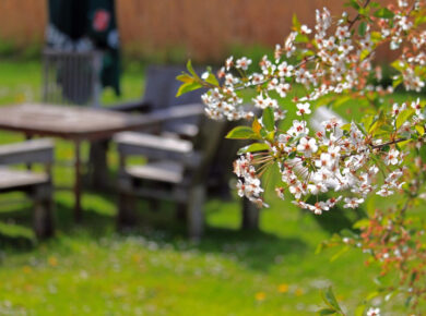 Garten Must-haves – 10 unverzichtbare Planen und Netze zum Schutz Ihrer Outdoor-Oase
