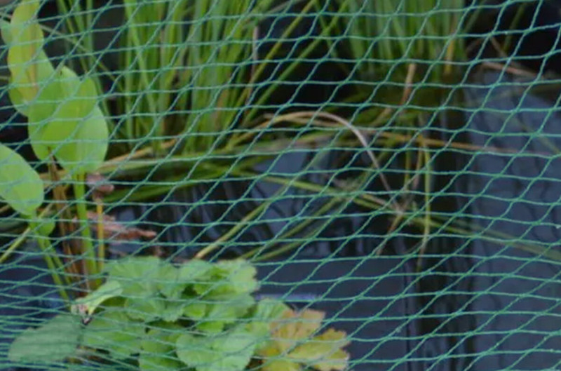 Teichschutznetz für den Gartenteich