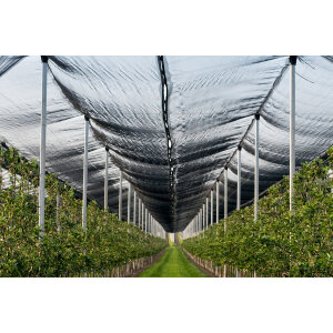 Hagelschutznetz schwarz - Schattierung 10% - 3m x 100m
