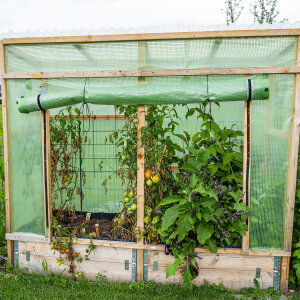 Gitterfolie grün 250 g/m² 4 x 25 m